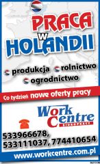 Operator wózka widłowego Operator wózka widłowego