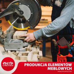 Pracownik produkcji/elementów meblowych Pracownik produkcji/elementów meblowych
