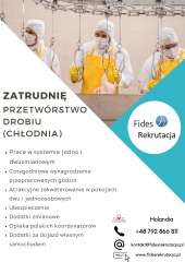 Praca w Holandii - obróbka, pakowanie derobiu Praca w Holandii - obróbka, pakowanie derobiu
