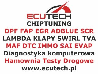 Chiptuning - Usuwanie dpf fap egr adblue lambda swirl - Diagnostyka Chiptuning - Usuwanie dpf fap egr adblue lambda swirl - Diagnostyka