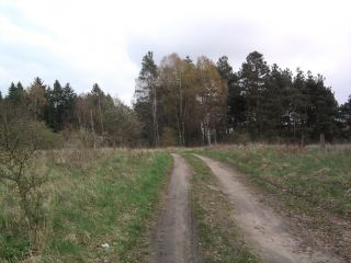 Duża Działka budowlana z małym własnym parkiem Duża Działka budowlana z małym własnym parkiem
