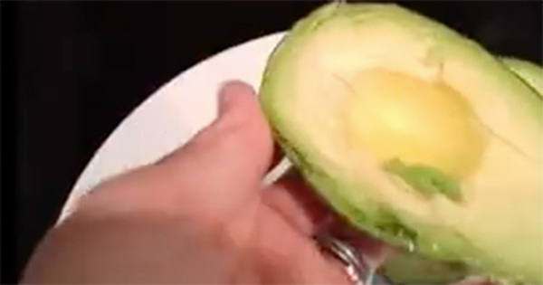 avokado3