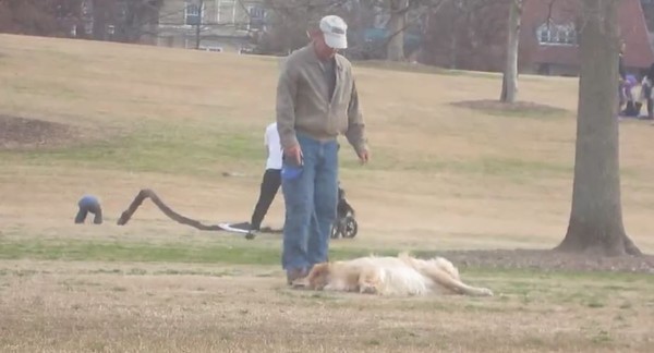 play dead 1