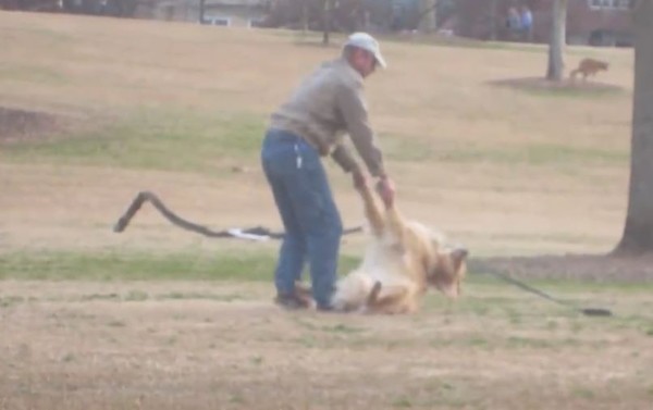 play dead 3