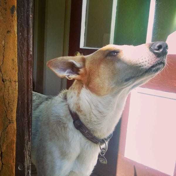 lily09