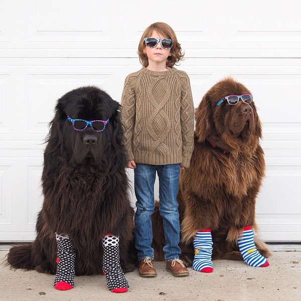 mom-photographs-son-dogs-horse-friendship-stasha-becker-julian-151