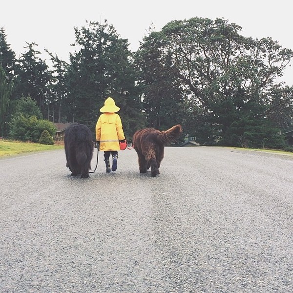 mom-photographs-son-dogs-horse-friendship-stasha-becker-julian-70