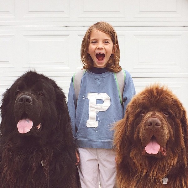 mom-photographs-son-dogs-horse-friendship-stasha-becker-julian-74