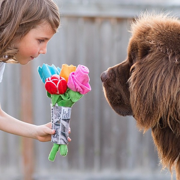 mom-photographs-son-dogs-horse-friendship-stasha-becker-julian-90