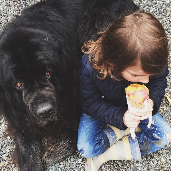 mom-photographs-son-dogs-horse-friendship-stasha-becker-julian-119