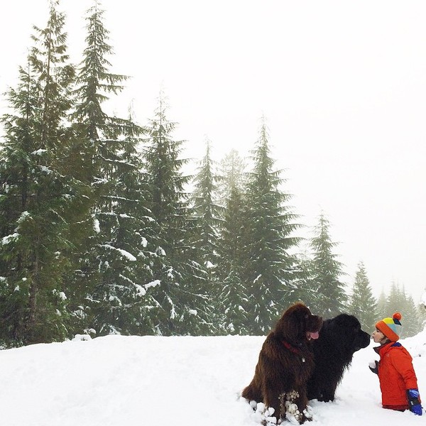 mom-photographs-son-dogs-horse-friendship-stasha-becker-julian-140