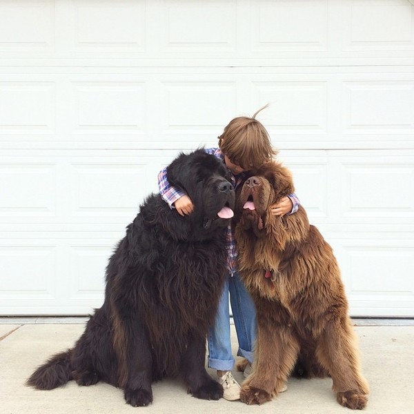 mom-photographs-son-dogs-horse-friendship-stasha-becker-julian-159