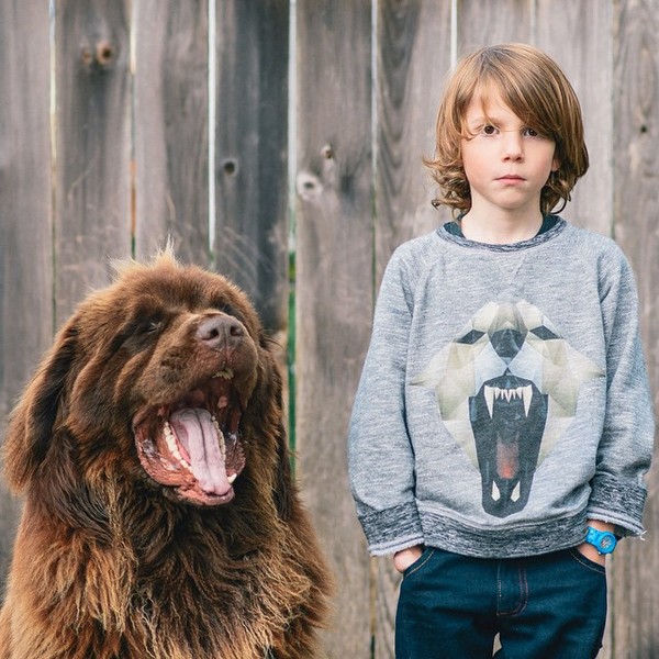 mom-photographs-son-dogs-horse-friendship-stasha-becker-julian-68