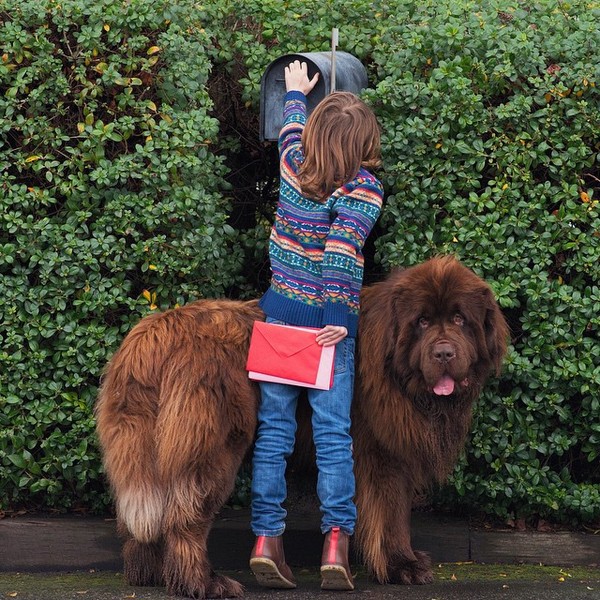 mom-photographs-son-dogs-horse-friendship-stasha-becker-julian-135