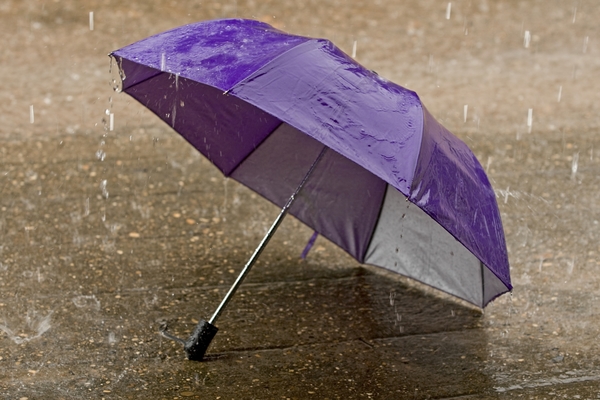 441494-umbrella-at-intense-rainy-weather