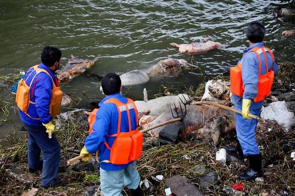 environmental-problems-pollution-27__880