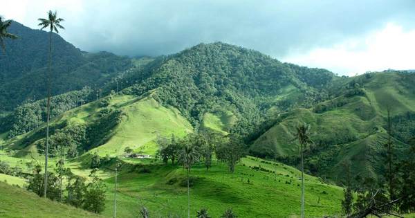 Quindio!