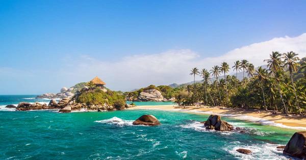 11Tayrona