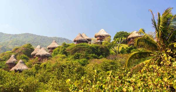 332Tayrona