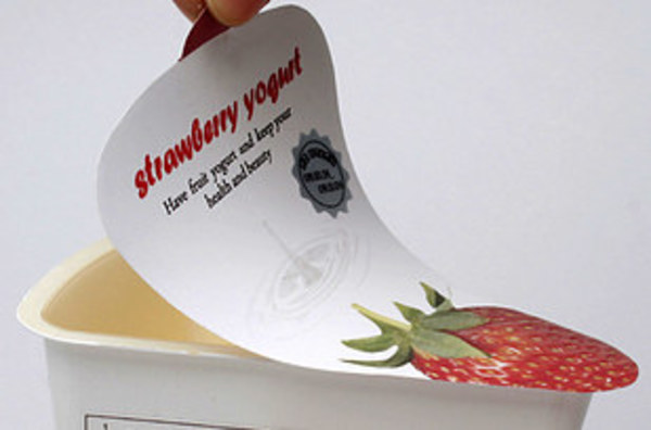 yoggi