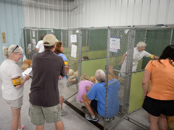 635693131729394586-Adoption-Day5