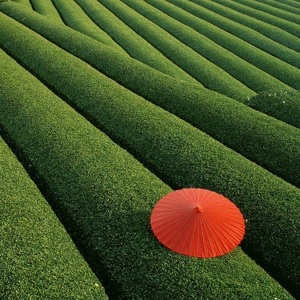 unbelievable-places-11