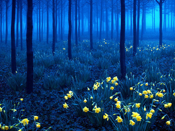 unbelievable-places-9
