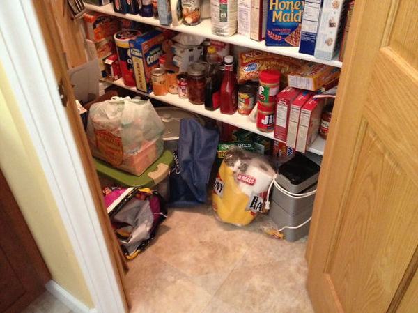 ninja-cat-hiding-funny-22__605