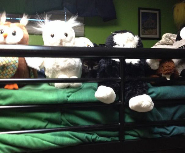 ninja-cat-hiding-funny-25__605