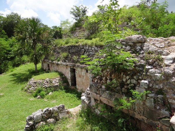 mayas5