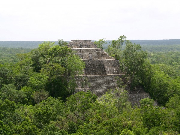 mayas7