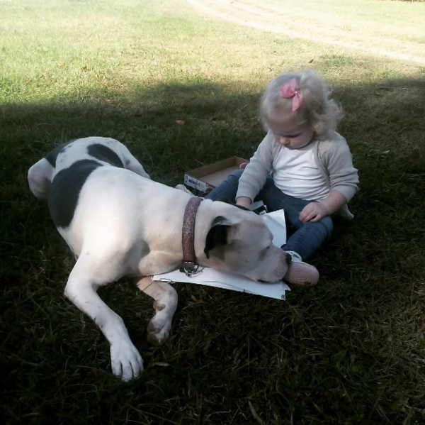 bebapitbull6