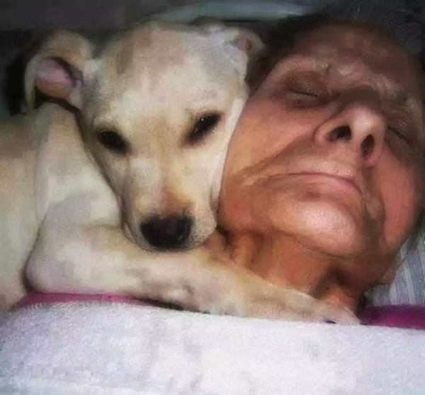 anciana