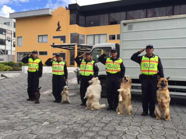 perros_policia_Ecuador