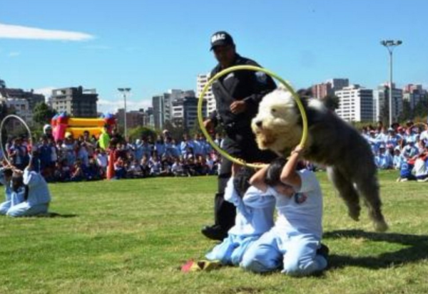 perros_policia_Ecuador2