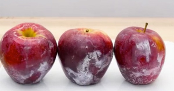 manzanas2