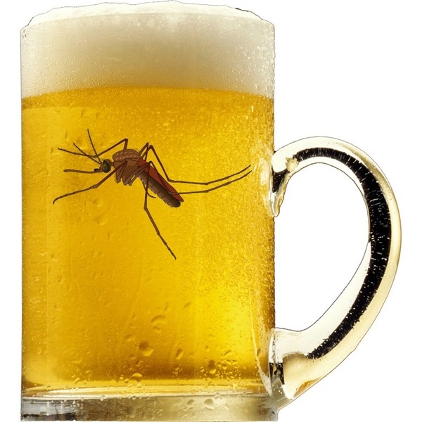 mosquito3
