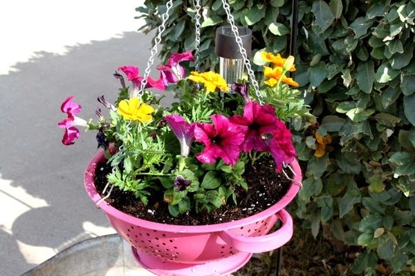 jardin12
