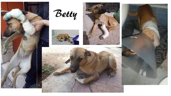 betty