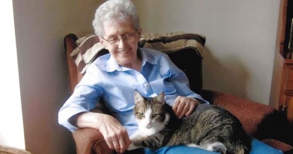 abuelamain