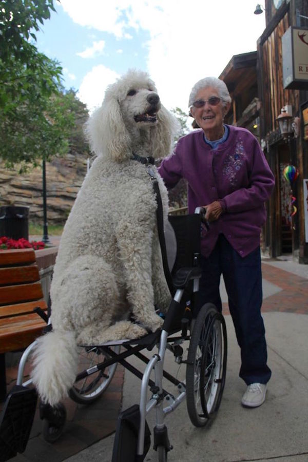 abuelita2