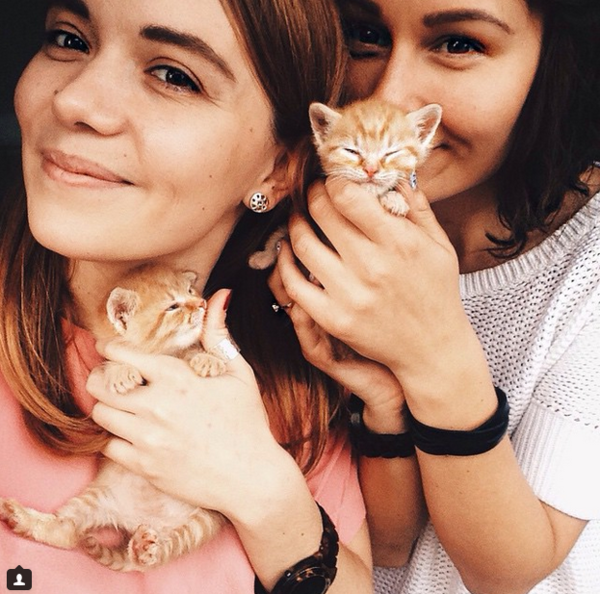 gatitos4