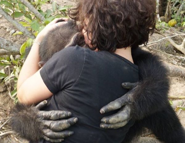 chimp2