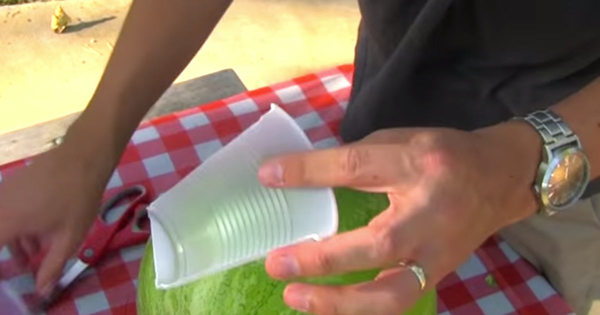 vaso