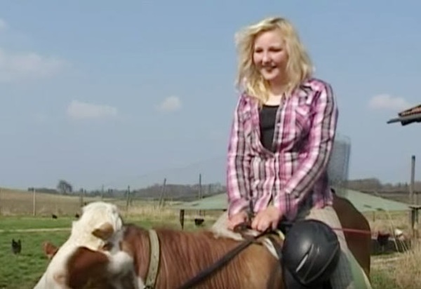 vaca4