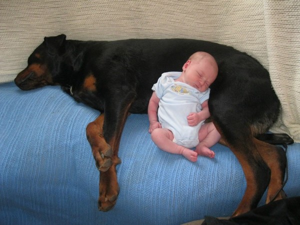 Bild: Imgur