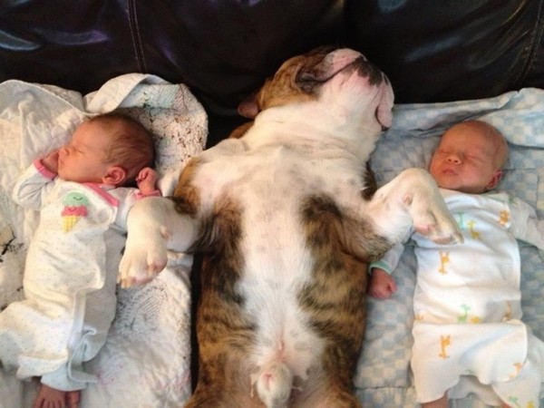 Bild: Imgur
