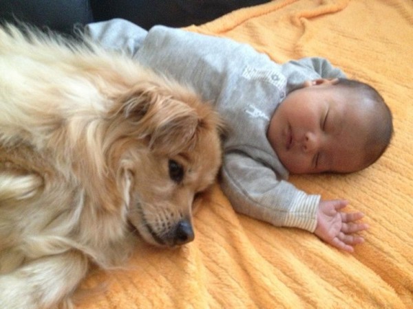 Bild: Imgur