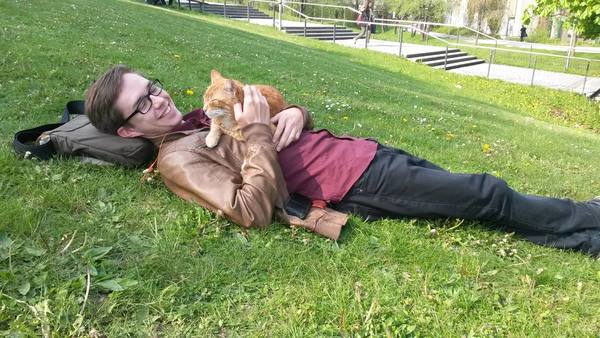gato4