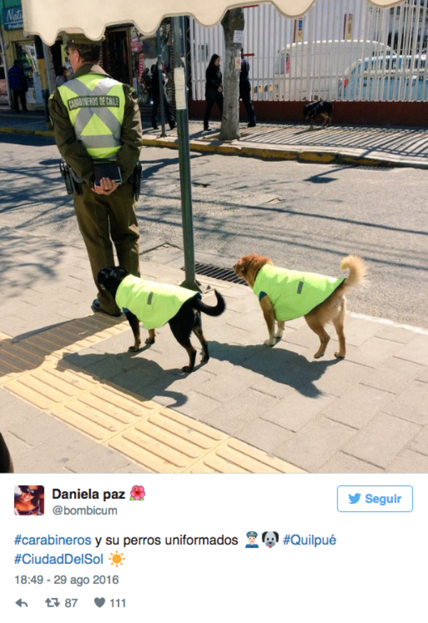 Policias